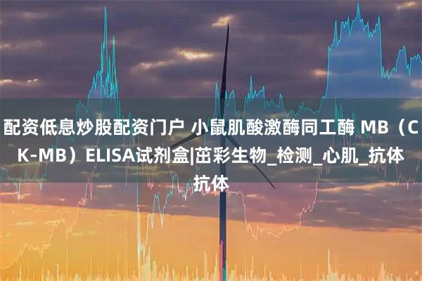 配资低息炒股配资门户 小鼠肌酸激酶同工酶 MB（CK-MB）ELISA试剂盒|茁彩生物_检测_心肌_抗体