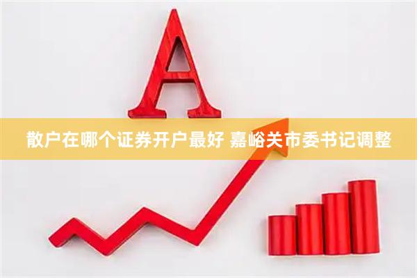 散户在哪个证券开户最好 嘉峪关市委书记调整
