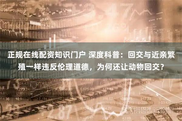 正规在线配资知识门户 深度科普：回交与近亲繁殖一样违反伦理道德，为何还让动物回交？